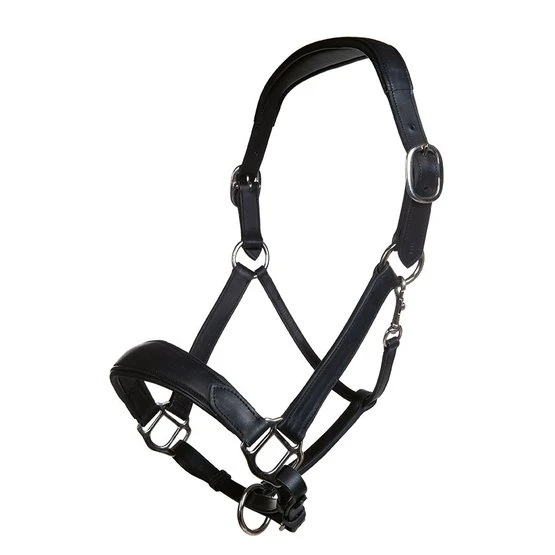 HKM Halfter Mira Schwarz Vollblut 3 HKM Halfter Mira Schwarz Vollblut