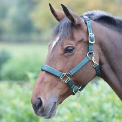 Shires Halfter Topaz Nylon Schwarz -Waldhausen Verkaufe 387 dark green.a3c154