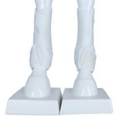 Harry's Horse Beinschutz Memoryfoam Braun -Waldhausen Verkaufe agradi 4100898 2.6b1bd1 1