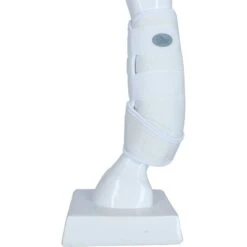 Harry's Horse Beinschutz Memoryfoam Schwarz -Waldhausen Verkaufe agradi 4100898 4.e5ca3c 2