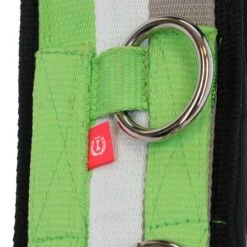 Imperial Riding Longiergurt Deluxe Nylon Tango Rot -Waldhausen Verkaufe agradi 44243471 4.e0f709 1