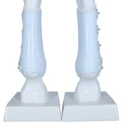 Back On Track Sehnenschutz Work Royal Schwarz -Waldhausen Verkaufe agradi 44312993 3.127576