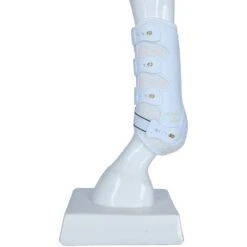 Back On Track Sehnenschutz Work Royal Schwarz -Waldhausen Verkaufe agradi 44312993 4.ef6165