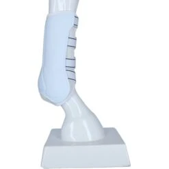 Back On Track Sehnenschutz Work Royal Schwarz -Waldhausen Verkaufe agradi 44312993 5.07e983