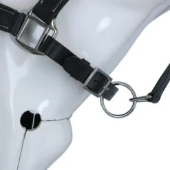 HKM Lederhalfter Soft Braun -Waldhausen Verkaufe agradi 44366932 5.57a8f7