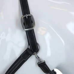 HKM Lederhalfter Soft Braun -Waldhausen Verkaufe agradi 44366932 6.1fa18d