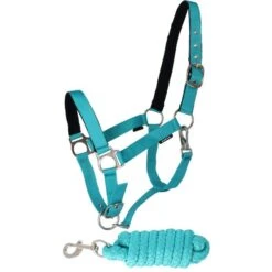 Horka Halfter Set Dime Schwarz -Waldhausen Verkaufe agradi 44376149 1.02bf88 2