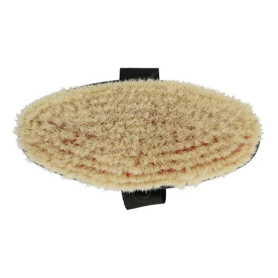 Ezi-groom By Shires Bürste Mit Ziegenhaar Burgunderrot L 13 Ezi-groom By Shires Bürste Mit Ziegenhaar Burgunderrot L – Bild 11