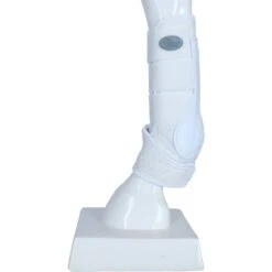 Harry's Horse Gamaschen Gallop Weiß L -Waldhausen Verkaufe agradi 44454845 4.a10601