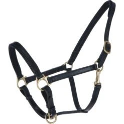 Blenheim Halfter Ragley Unterlegtes Leder Havanna Vollblut 8 Blenheim Halfter Ragley Unterlegtes Leder Havanna Vollblut -Waldhausen Verkaufe agradi 44466818 1.3a6786