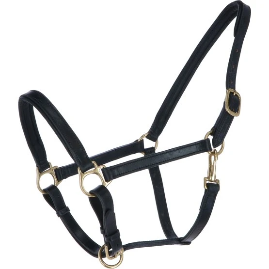 Blenheim Halfter Ragley Unterlegtes Leder Havanna Vollblut 5 Blenheim Halfter Ragley Unterlegtes Leder Havanna Vollblut – Bild 3