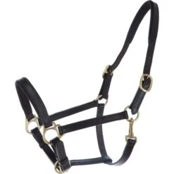 Blenheim Halfter Ragley Unterlegtes Leder Havanna Vollblut