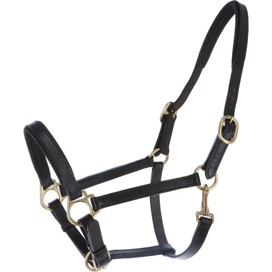 Blenheim Halfter Ragley Unterlegtes Leder Havanna Vollblut 3 Blenheim Halfter Ragley Unterlegtes Leder Havanna Vollblut