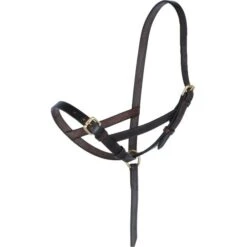 Blenheim Fohlenhalfter Leder Havanna Fohlen