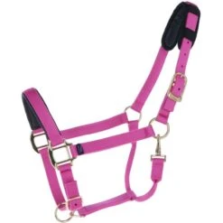 Shires Halfter Topaz Nylon Grau -Waldhausen Verkaufe agradi 44469240 1.7240bc 3