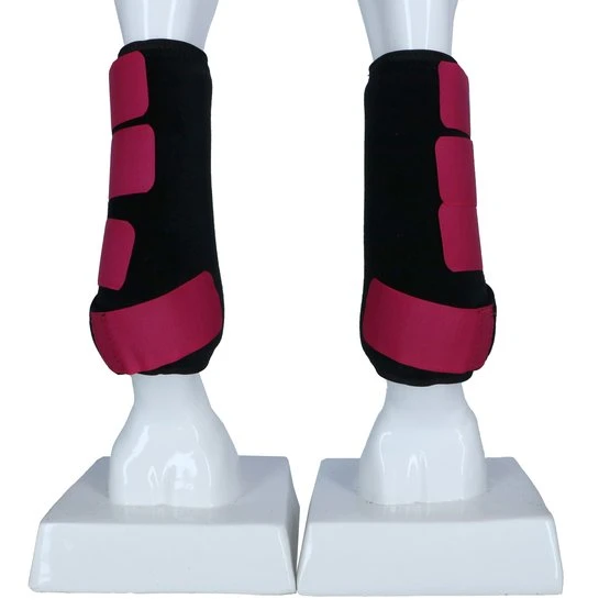 Arma By Shires Beinschutz Atmungsaktiv Royal 6 Arma By Shires Beinschutz Atmungsaktiv Royal – Bild 4