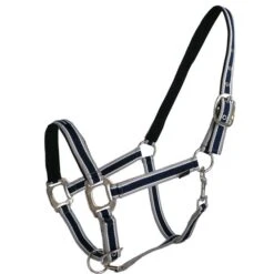 Covalliero Halfter Cora Grau/Rose/Weiß 23 Covalliero Halfter Cora Grau/Rose/Weiß -Waldhausen Verkaufe agradi 44624481 1.caba1e