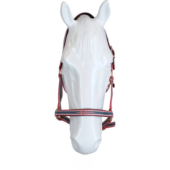 Covalliero Halfter Cora Grau/Rose/Weiß 4 Covalliero Halfter Cora Grau/Rose/Weiß – Bild 2