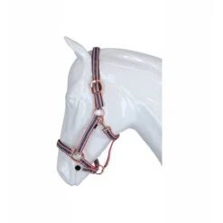 Covalliero Halfter Cora Grau/Rose/Weiß 20 Covalliero Halfter Cora Grau/Rose/Weiß -Waldhausen Verkaufe agradi 44624484 3.58a408