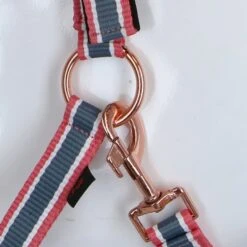 Covalliero Halfter Cora Grau/Rose/Weiß 21 Covalliero Halfter Cora Grau/Rose/Weiß -Waldhausen Verkaufe agradi 44624484 4.4181f8