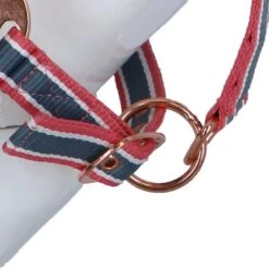 Covalliero Halfter Cora Grau/Rose/Weiß 22 Covalliero Halfter Cora Grau/Rose/Weiß -Waldhausen Verkaufe agradi 44624484 5.fe7247