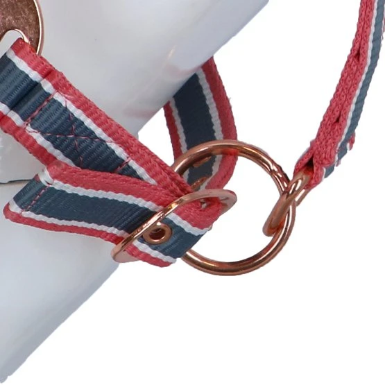 Covalliero Halfter Cora Grau/Rose/Weiß 7 Covalliero Halfter Cora Grau/Rose/Weiß – Bild 5