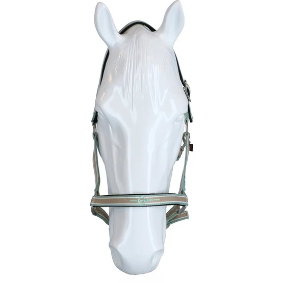 Covalliero Halfter Cora Grau/Rose/Weiß 15 Covalliero Halfter Cora Grau/Rose/Weiß – Bild 13