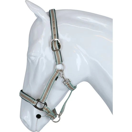 Covalliero Halfter Cora Grau/Rose/Weiß 16 Covalliero Halfter Cora Grau/Rose/Weiß – Bild 14