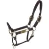 Kentucky Horsewear Kentucky Knotenhalfter Leder -Waldhausen Verkaufe agradi 44669326 1.496690