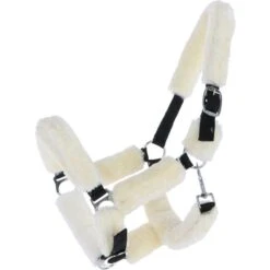 Norton Halfter Vollständig Kunstschaffell Schwarz -Waldhausen Verkaufe agradi 44675320 1.33507b 1