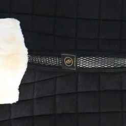 BR Schabracke Majeur 2 Vielseitigkeit Schwarz -Waldhausen Verkaufe agradi 44703239 6.69a595 1