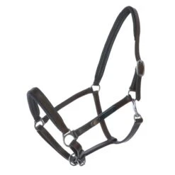 Döbert Halfter Stallmeister Leder Schwarz Warmblut -Waldhausen Verkaufe agradi 44707876 1.7d9575