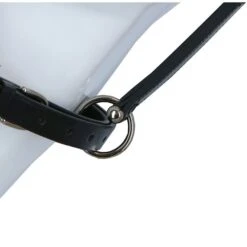 Döbert Halfter Stallmeister Leder Schwarz Warmblut -Waldhausen Verkaufe agradi 44707877 4.ab7efd