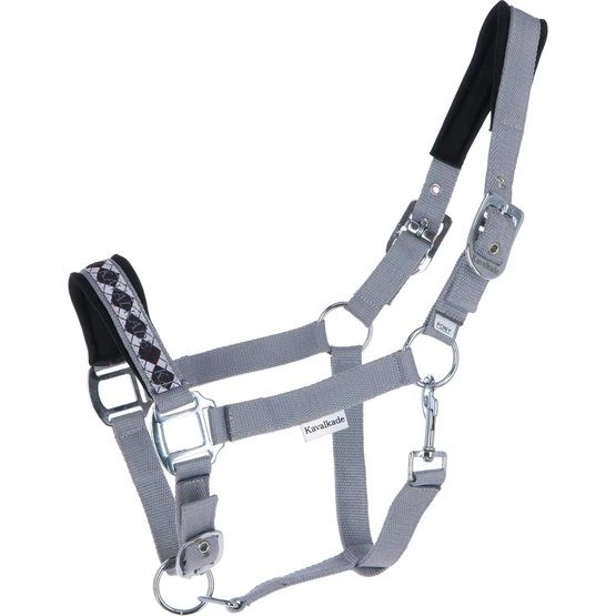 Kavalkade Perlon Halfter Perlon Classic Grün 4 Kavalkade Perlon Halfter Perlon Classic Grün – Bild 2