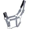 Kavalkade Perlon Halfter Perlon Classic Anthrazit 1 Kavalkade Perlon Halfter Perlon Classic Anthrazit -Waldhausen Verkaufe agradi 44718016 1.4a1590 4