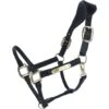 Kentucky Horsewear Leder Halfter Schwarz -Waldhausen Verkaufe agradi 44743380 1.20dce1