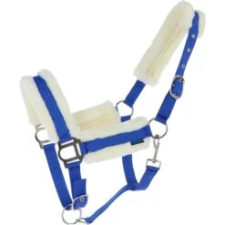 Norton Halfter Confort Himbeere -Waldhausen Verkaufe agradi 44818469 1.f0a7df 1