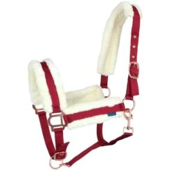 Norton Halfter Confort Schwarz -Waldhausen Verkaufe agradi 44818477 1.30d8c9