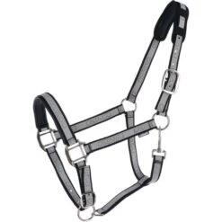 Catago Halfter Braun/gold Pony -Waldhausen Verkaufe agradi 44830811 1.0c0b4a 2