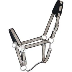 Catago Halfter Schwarz/Gold XWarmblut