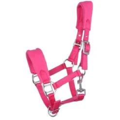 HB Harry And Hector Halfter Bellwood Fleece Türkis Mini Shet -Waldhausen Verkaufe agradi 44843605 1.7a5b75