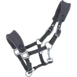 HB Harry And Hector Halfter Bellwood Fleece Türkis Mini Shet -Waldhausen Verkaufe agradi 44843606 1.11bf72