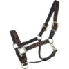 Kentucky Horsewear Kentucky Halfter Pearls Gold -Waldhausen Verkaufe agradi 44850052 1.4fa3ff