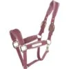 Kentucky Horsewear Kentucky Halfter Velvet Altrosa -Waldhausen Verkaufe agradi 44850060 1.5479d8 1