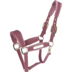 Kentucky Horsewear Kentucky Halfter Velvet Altrosa
