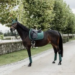 Kentucky Horsewear Kentucky Schabracke Velvet Pearls Dressur Pine Green -Waldhausen Verkaufe agradi 44850087 7.4a7d56 1