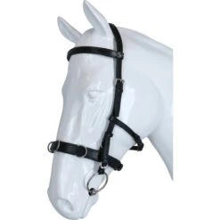 F.R.A. Kapzaum Baro Leder Havanna -Waldhausen Verkaufe agradi 44874373 2.a2a2c0