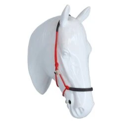 F.R.A. Reit- Ausbildungshalfte Capal Nubuck Profi Braun Warmblut -Waldhausen Verkaufe agradi 44874437 1.ee34bc