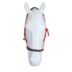 F.R.A. Reit- Ausbildungshalfte Capal Nubuck Profi Braun Warmblut -Waldhausen Verkaufe agradi 44874437 2.a1967d