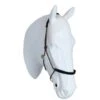 F.R.A. Reit- Ausbildungshalfte Capal Nubuck Profi Braun Warmblut -Waldhausen Verkaufe agradi 44874438 1.6440fb